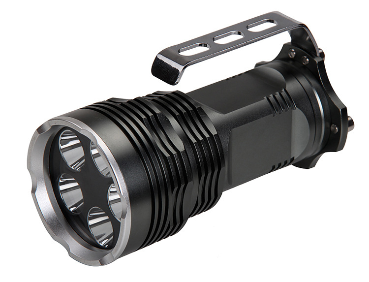 UV flashlights/torches