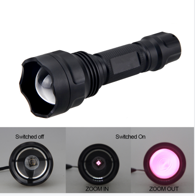 Hunting flashlights/torches